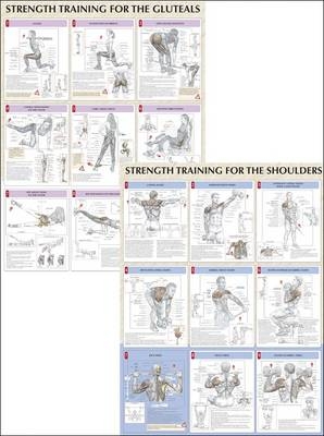 Strength Training Anatomy Poster Series - Frederic Delavier