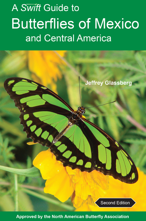 Swift Guide to Butterflies of Mexico and Central America -  Jeffrey Glassberg