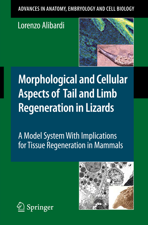 Morphological and Cellular Aspects of Tail and Limb Regeneration in Lizards - Lorenzo Alibardi