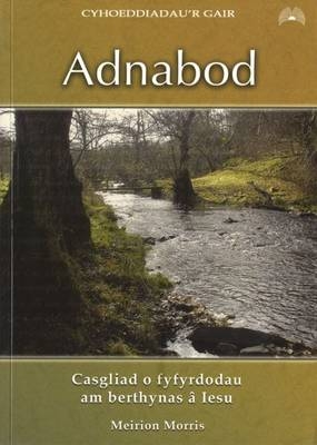 Adnabod - Casgliad o Fyfyrdodau am Berthynas â Iesu - Meirion Morris