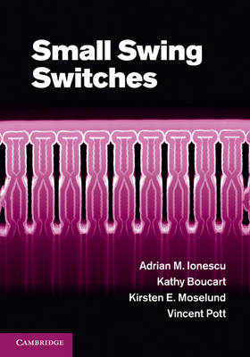 Small Swing Switches - Adrian M. Ionescu, Kathy Boucart, Kirsten E. Moselund, Vincent Pott