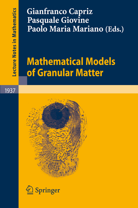 Mathematical Models of Granular Matter - 