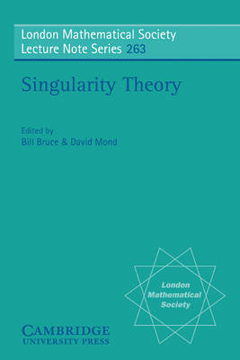 Singularity Theory - 