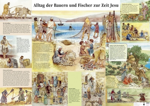 Alltag der Bauern und Fischer zur Zeit Jesu - Walter Bühlmann, Annemarie Schwegler