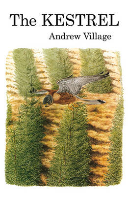 The Kestrel - Andrew Village