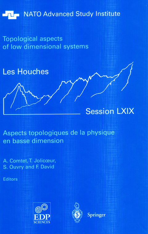 Aspects topologiques de la physique en basse dimension. Topological aspects of low dimensional systems - 