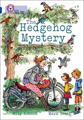 The Hedgehog Mystery - Ally Kennen