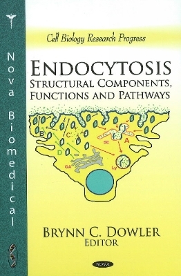 Endocytosis - 