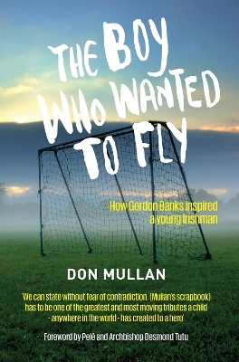 The Boy Who Wanted To Fly - Don Mullan