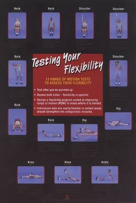 Testing Your Flexibility Poster - Human Kinetics