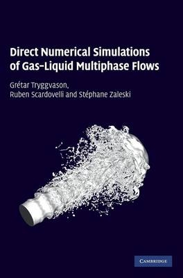Direct Numerical Simulations of Gas–Liquid Multiphase Flows - Grétar Tryggvason, Ruben Scardovelli, Stéphane Zaleski