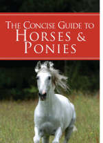 A Concise Guide to Horses