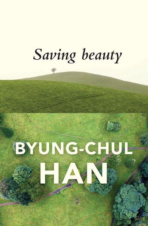 Saving Beauty -  Byung-Chul Han
