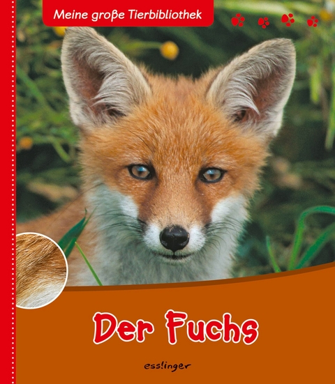 Meine große Tierbibliothek: Der Fuchs - Christian Havard