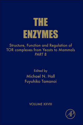 Structure, Function and Regulation of TOR complexes from Yeasts to Mammals - 