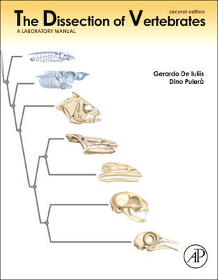 The Dissection of Vertebrates - Gerardo De Iuliis, Dino Pulerà
