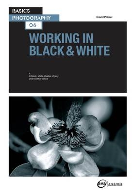 Working in Black & White - David Präkel