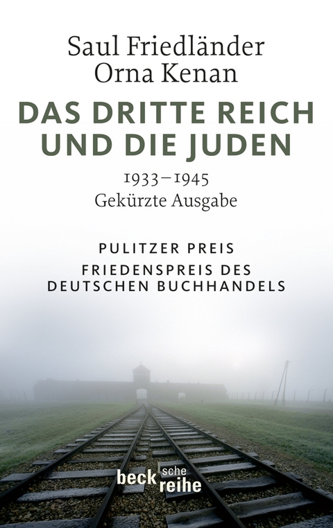 Das Dritte Reich und die Juden - Saul Friedländer, Orna Kenan