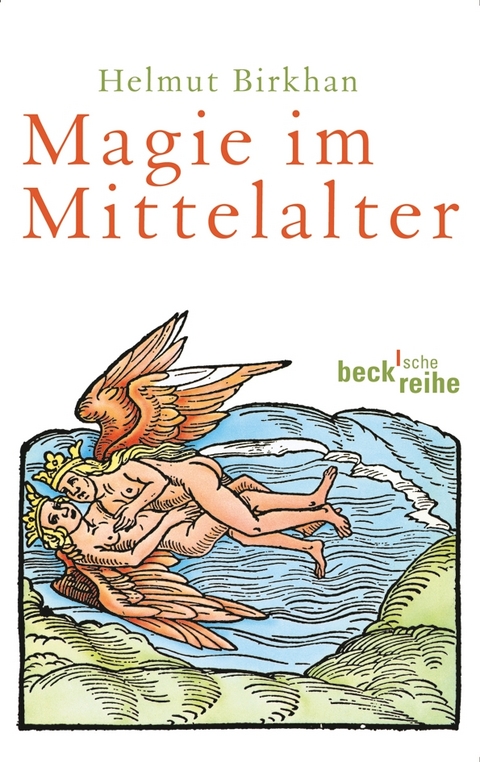 Magie im Mittelalter - Helmut Birkhan