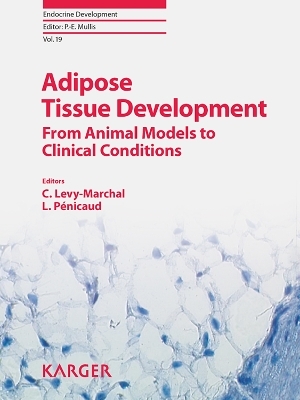 Adipose Tissue Development - 