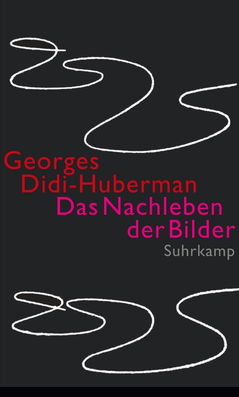 Das Nachleben der Bilder - Georges Didi-Huberman