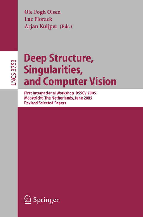 Deep Structure, Singularities, and Computer Vision - 