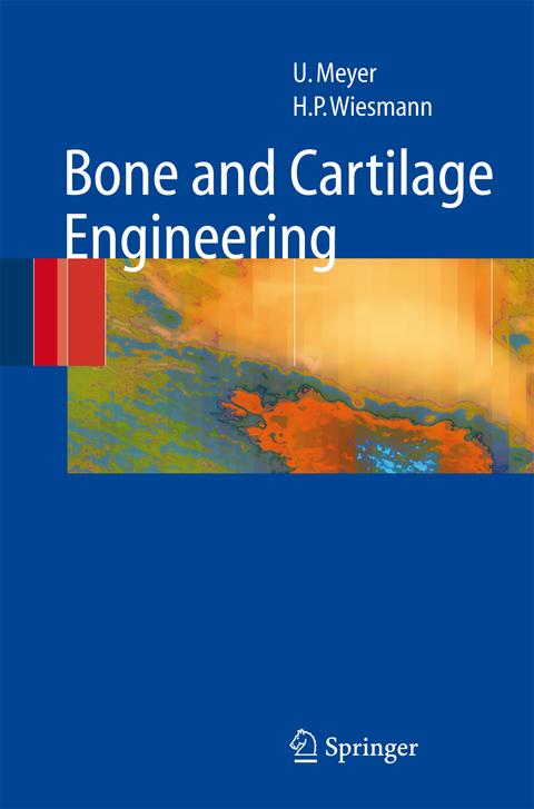 Bone and Cartilage Engineering - Ulrich Meyer, Hans Peter Wiesmann