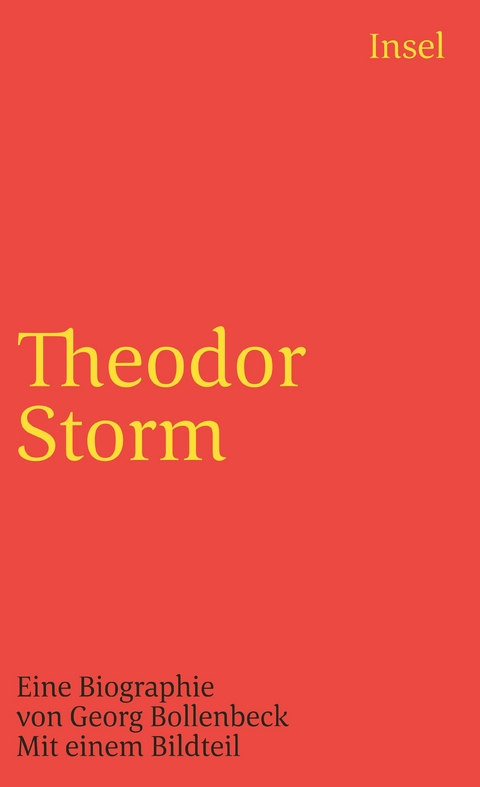 Theodor Storm - Georg Bollenbeck