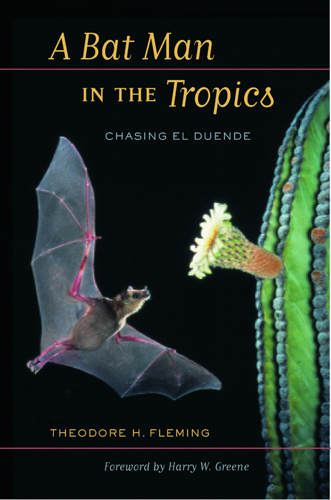 Bat Man in the Tropics -  Theodore Fleming