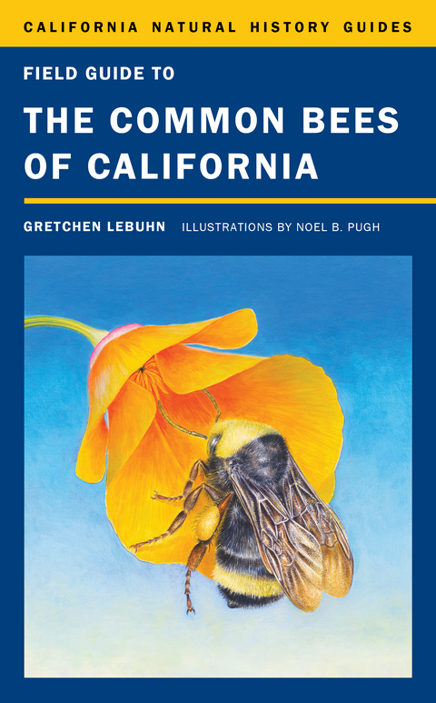 Field Guide to the Common Bees of California -  Gretchen LeBuhn