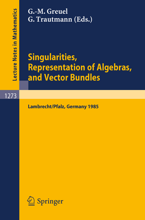 Singularities, Representation of Algebras, and Vector Bundles - 