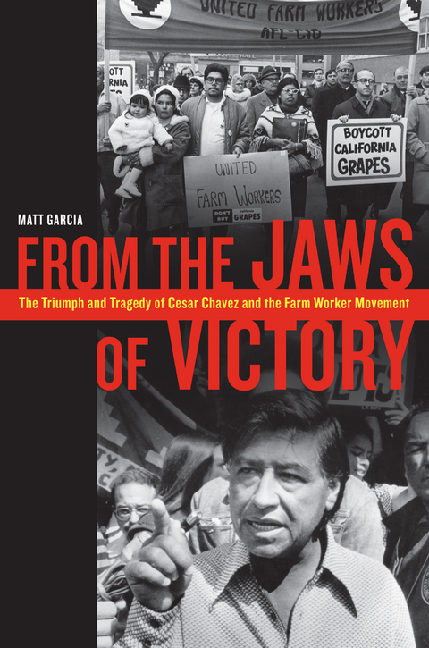 From the Jaws of Victory -  Matthew Garcia