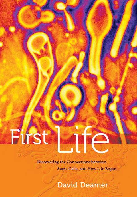 First Life - David Deamer