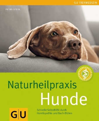 Naturheilpraxis Hunde - Petra Stein