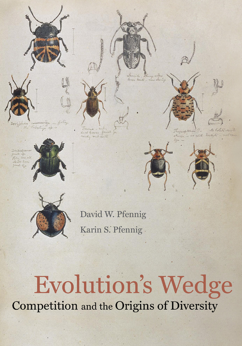 Evolution's Wedge - David Pfennig, Karin Pfennig