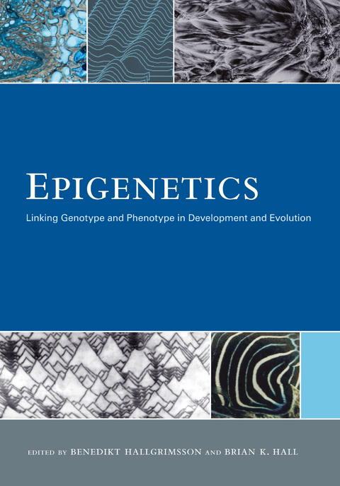 Epigenetics - 