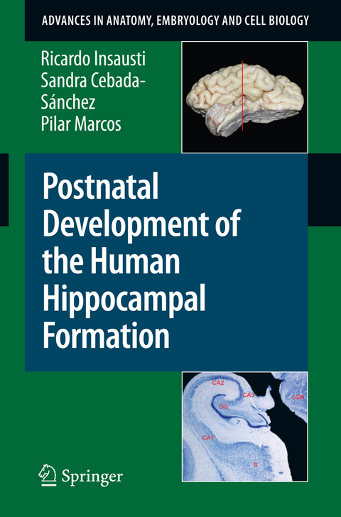 Postnatal Development of the Human Hippocampal Formation - Ricardo Insausti, Sandra Cebada-Sánchez, Pilar Marcos