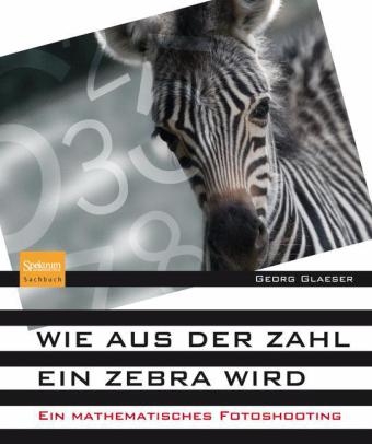 Wie aus der Zahl ein Zebra wird - Georg Glaeser