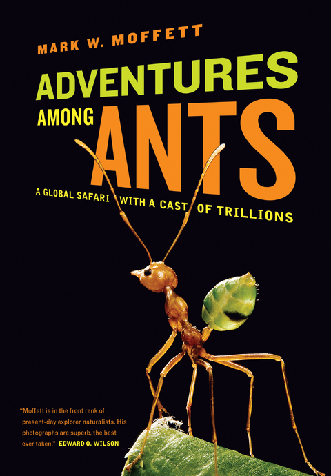 Adventures among Ants -  Mark W. Moffett