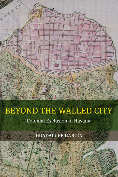 Beyond the Walled City -  Guadalupe Garcia