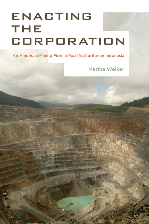Enacting the Corporation -  Marina Welker