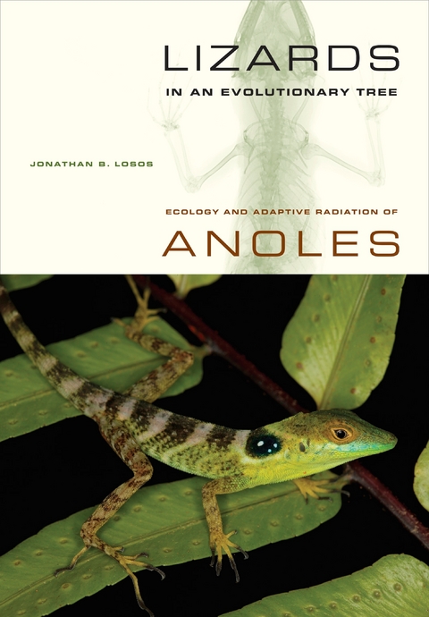 Lizards in an Evolutionary Tree - Jonathan Losos