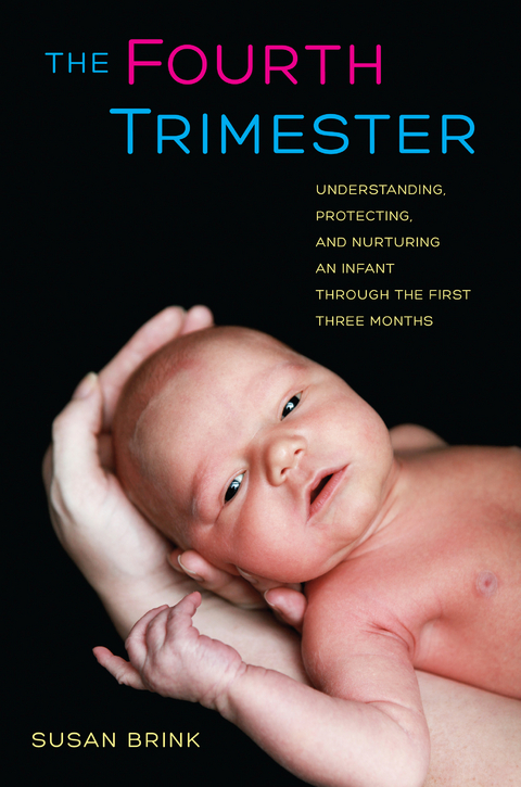 Fourth Trimester -  Susan Brink