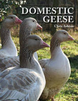 Domestic Geese - Chris Ashton