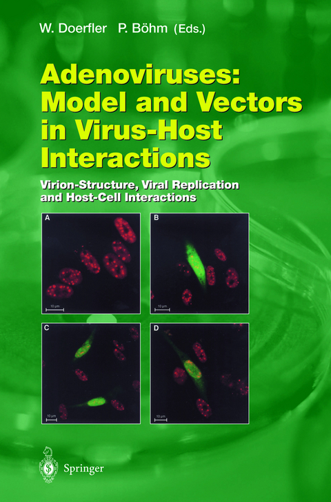 Adenoviruses: Model and Vectors in Virus-Host Interactions - 