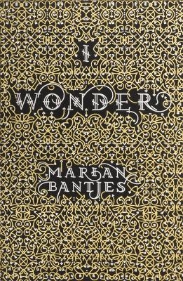 I Wonder - Marian Bantjes
