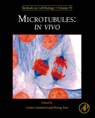 Microtubules: in vivo - 