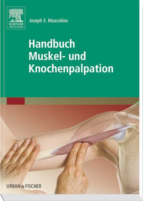 Handbuch Muskel- und Knochenpalpation - Joseph E. Muscolino