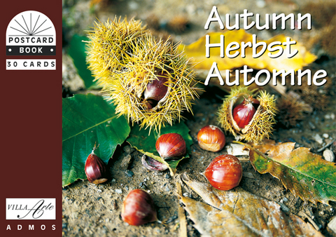 Herbst /Autumn /Autumne - 