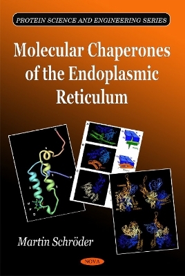 Molecular Chaperones of the Endoplasmic Reticulum - Martin Schröder